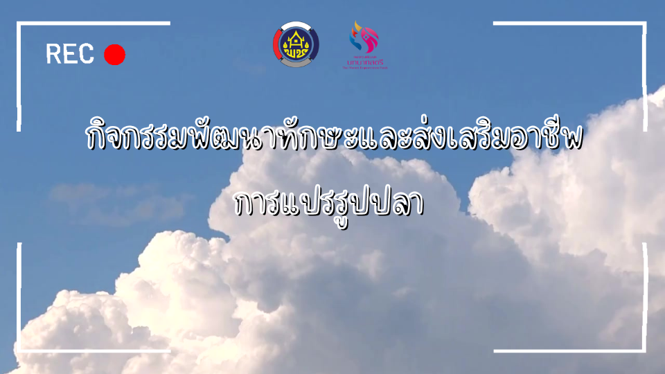 วิดีทัศน์กิจกรรมพัฒนาทักษะและส่งเสริมอาชีพการแปรรูปปลา กองทุนพัฒนาบทบาทสตรีอำเภอโคกโพธิ์ไชย
