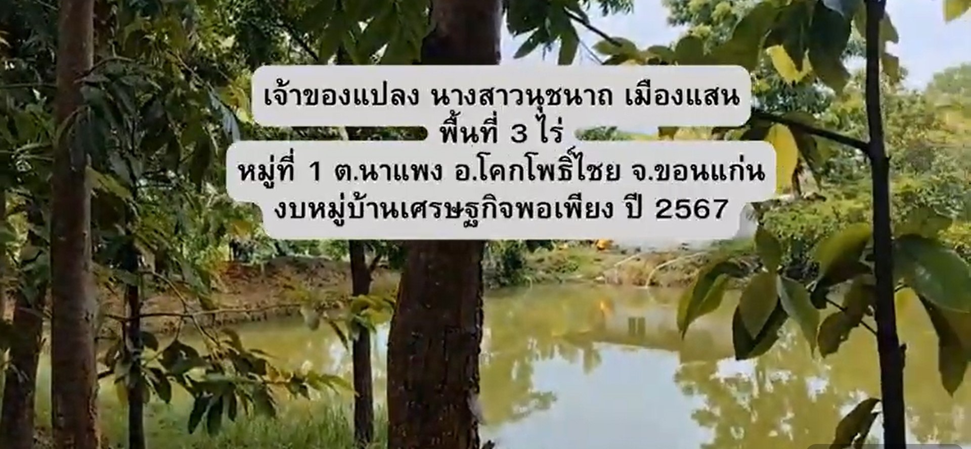 วิดีทัศน์นำเสนอ โคก หนอง นา แปลง นางสาวนุชนาถ เมืองแแสน  หมู่ 1 ตำบลนาแพง อำเภอโคกโพธิ์ไชย จังหวัดขอนแก่น