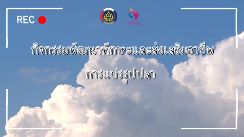วิดีทัศน์กิจกรรมพัฒนาทักษะและส่งเสริมอาชีพการแปรรูปปลา กองทุนพัฒนาบทบาทสตรีอำเภอโคกโพธิ์ไชย